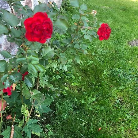 아파트호텔 Lesna & 3*